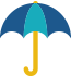 Financial Protection - Umbrella Icon | FlexGenius Features