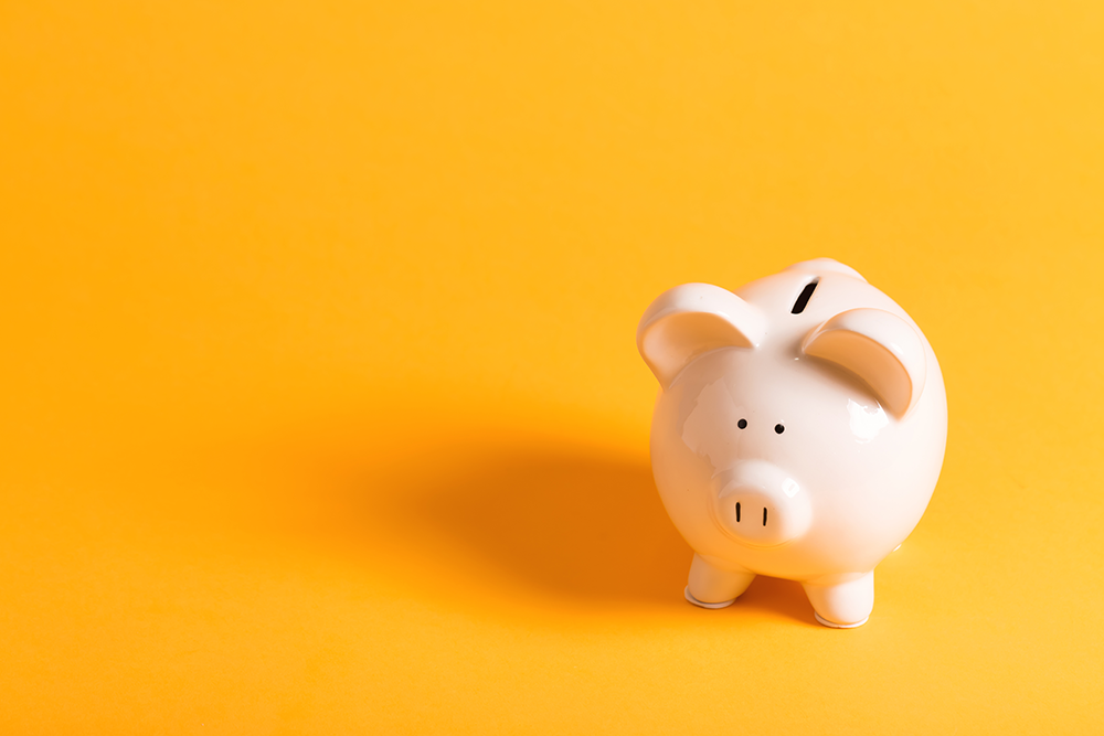 What to Include in Financial Wellness Programmes | FlexGenius | Piggy bank