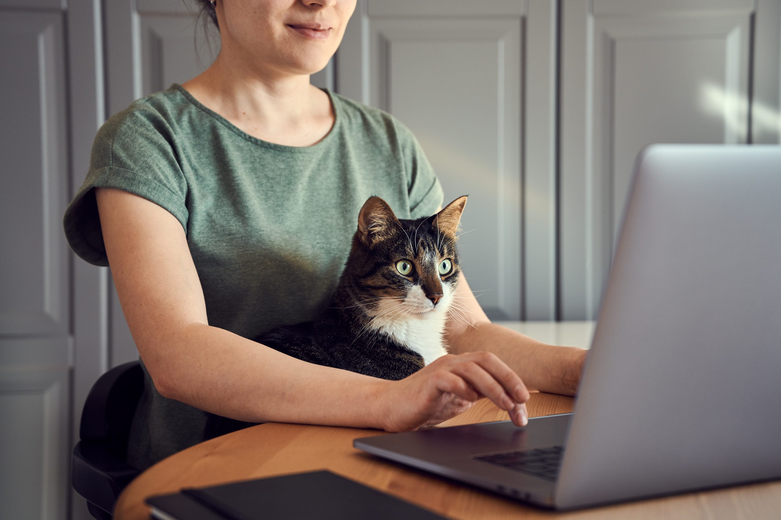 Flexibility and hybrid working | FlexGenius - Woman working with cat on her lap