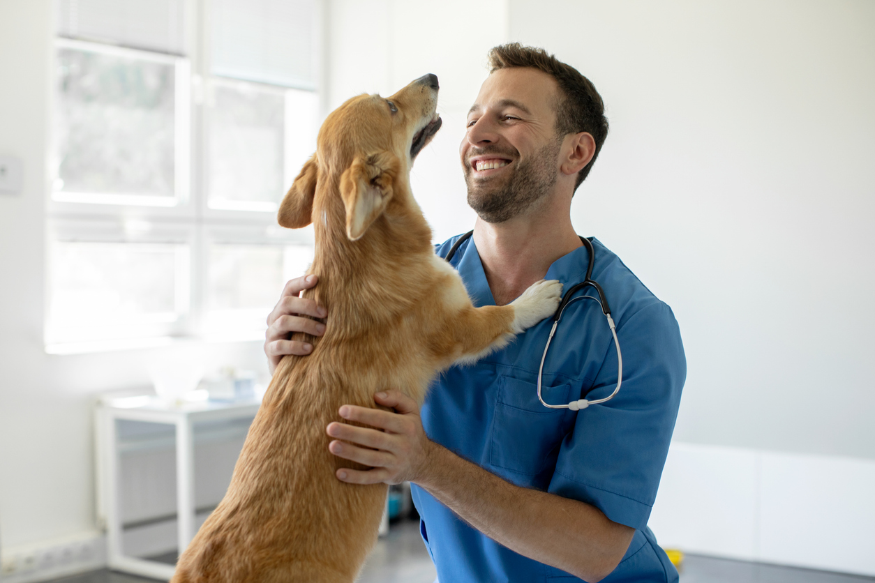 From vet care to everyday support: how digital benefits are expanding what employers can offer